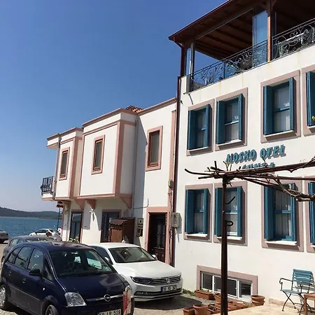 Mosko Cunda Ayvalı